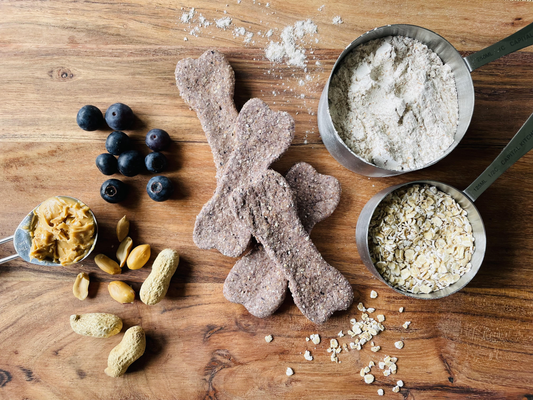 Large Blueberry & Peanut Butter Bones